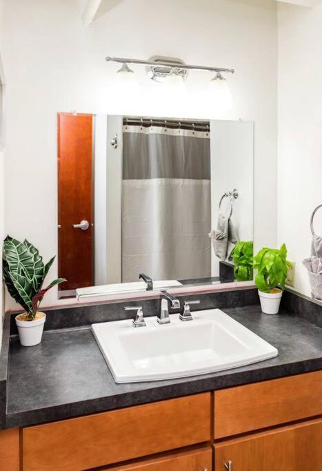 Centric Modern Loft W/ King Beds Apartment Rochester Ngoại thất bức ảnh
